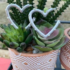 Silver Heart Hoop Earrings